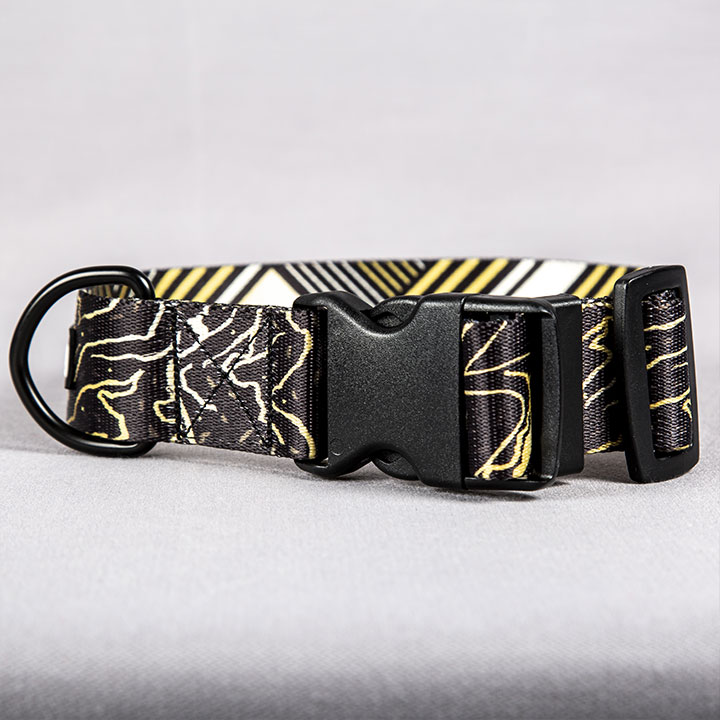 collier pour chien noir et jaune