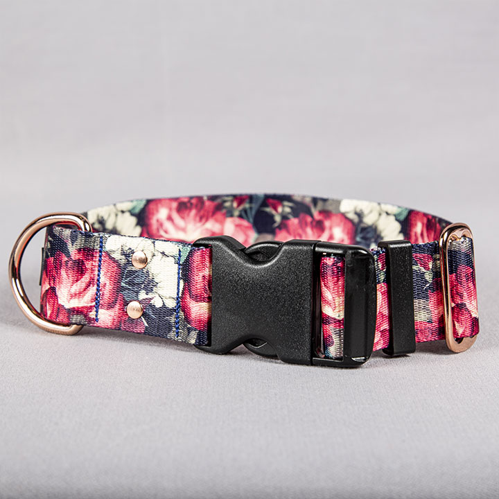 collier chien rose