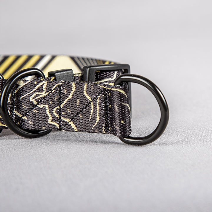 collier glissant pour chien