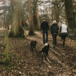 Pourquoi modifier le parcours d'un chien lors des balades ?