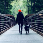 Que faire pour se balader avec son chien ?