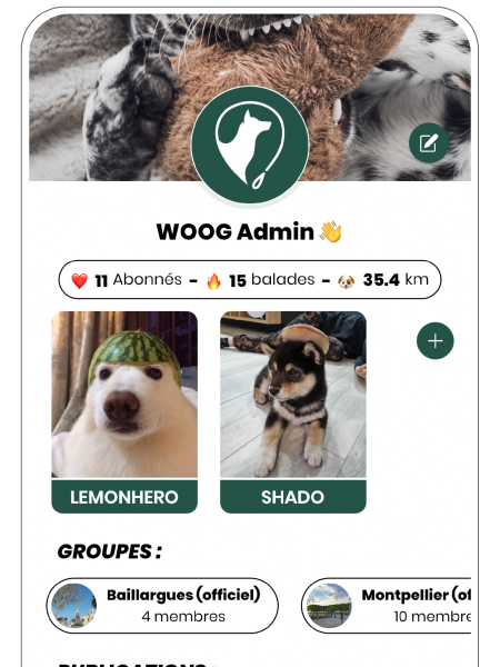 profil personnel et page chien