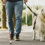 Promener son chien quand on est en situation de handicap