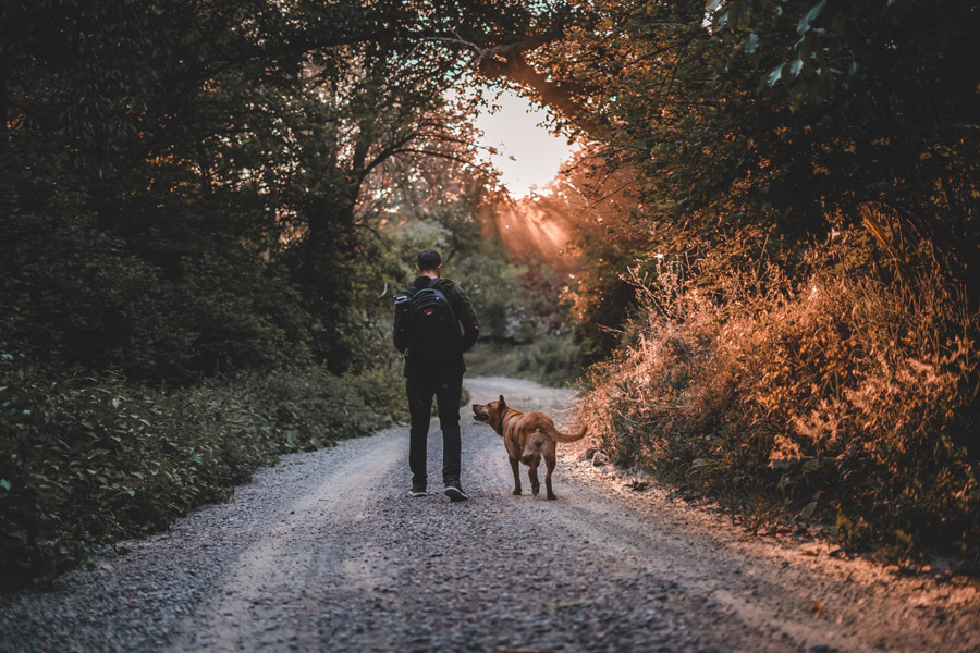 promener son chien quotidiennement