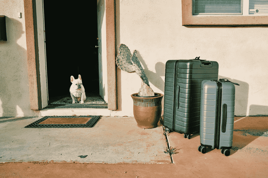 partir en voyage a l etranger avec son chien