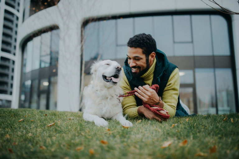 éducateur canin un métier au service de la relation homme chien