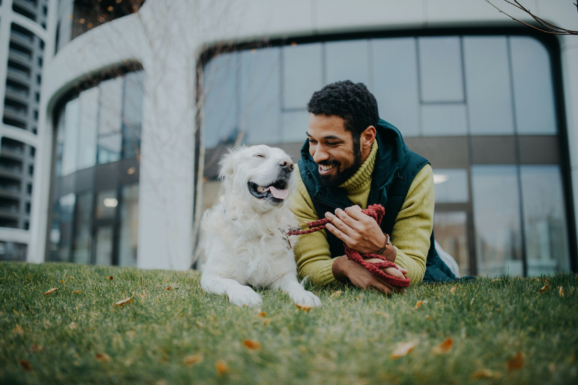 Éducateur canin : un métier au service de la relation homme-chien